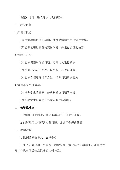 北师大版六年级比例的应用教案