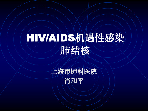 hiv机遇感染肺结核ppt课件PPT精品文档114页