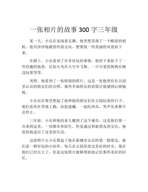 一张相片的故事300字三年级