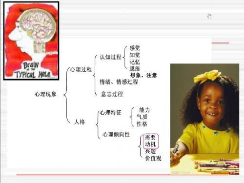 心理学基础-人格