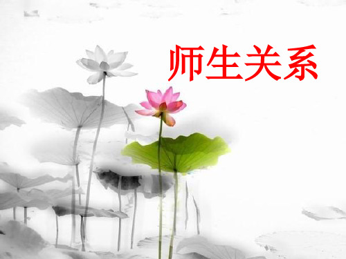 《教育学》大学课程教学课件——师生关系