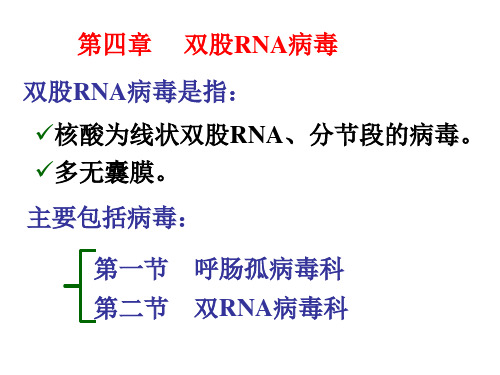 兽医微生物学-双股RNA病毒