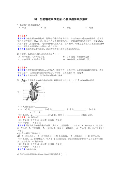 初一生物输送血液的泵-心脏试题答案及解析
