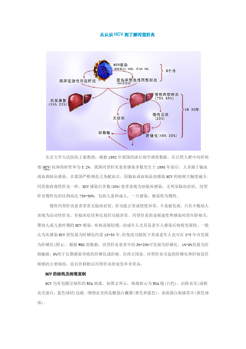 从认识HCV到了解丙型肝炎