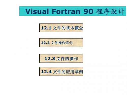 Fortran第12章