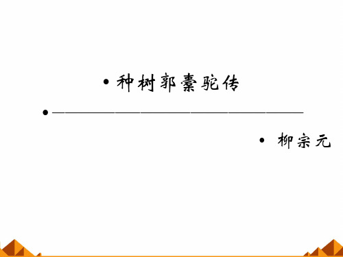 人教版高中语文选修-中国古代诗歌散文欣赏：种树郭橐驼传／柳宗元_课件1