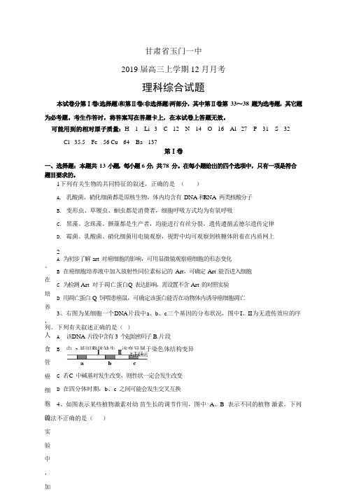 甘肃省玉门一中高三上学期12月月考——理综理综