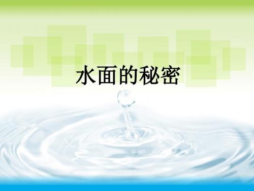 青岛版小学三年级科学上册《水面的秘密》课件)