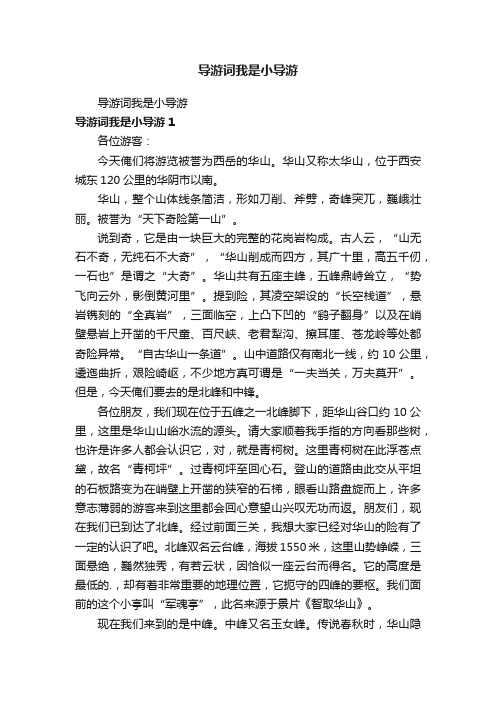 导游词我是小导游