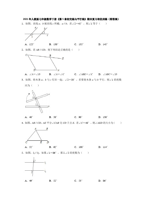 人教版七年级数学下册《第5章相交线与平行线》期末培优训练(附答案)