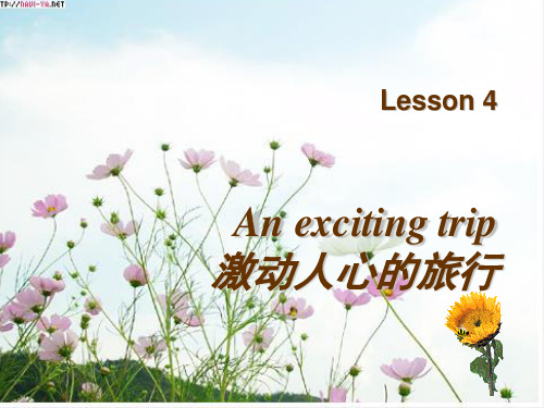 lesson4 An exciting trip 激动人心的旅行汇总