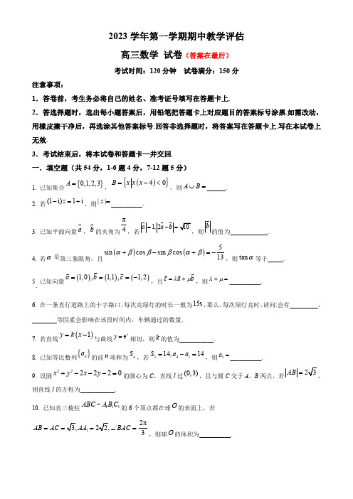 上海市2023-2024学年高三上学期期中考试 数学含解析