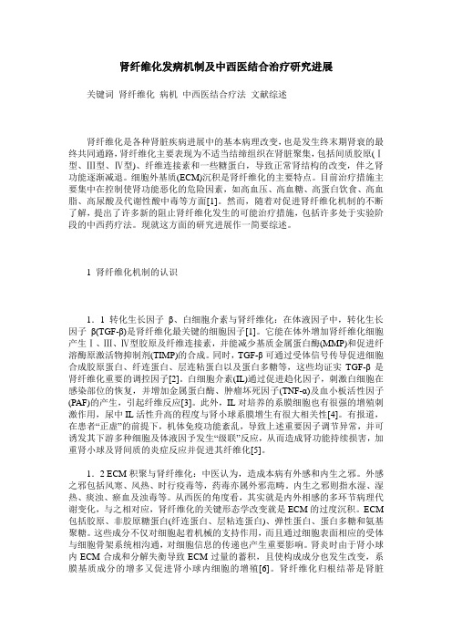 肾纤维化发病机制及中西医结合治疗研究进展