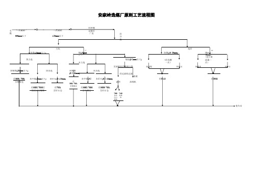 原则工艺流程图(修改)