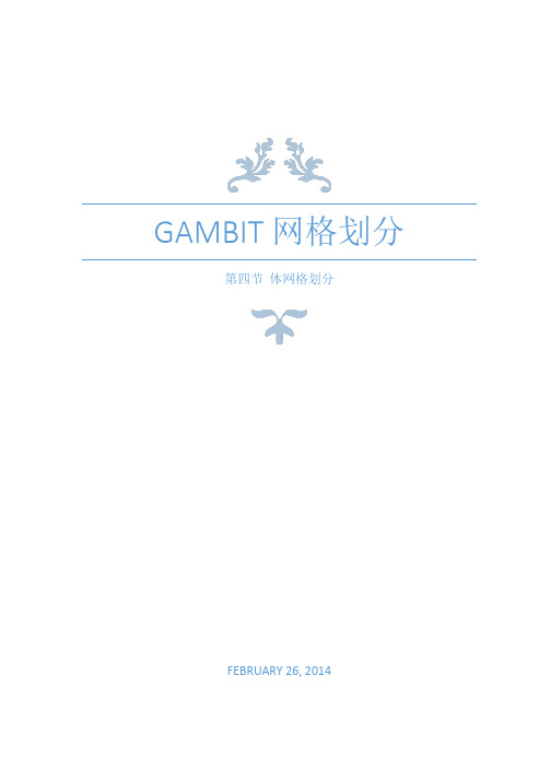 Gambit体网格划分