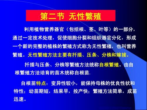 山东农业大学园林专业第五章课件 繁殖-2-y