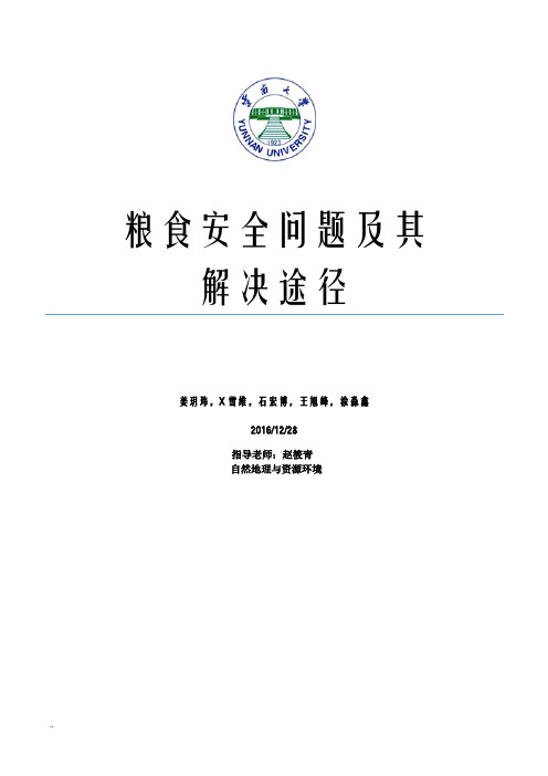 我国的粮食安全问题及解决途径