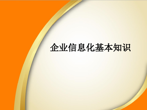 企业信息化知识普及资料