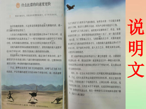 五年级上册语文课件  -《16.太阳》统编版 (共13张PPT)