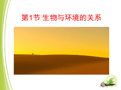 《生物与环境的关系》(最新版)PPT