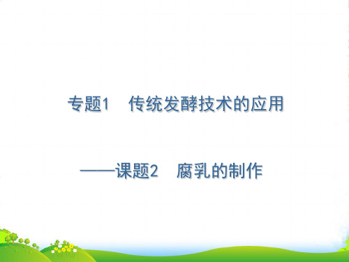 人教版高中生物选修一课件:1.2腐乳的制作1