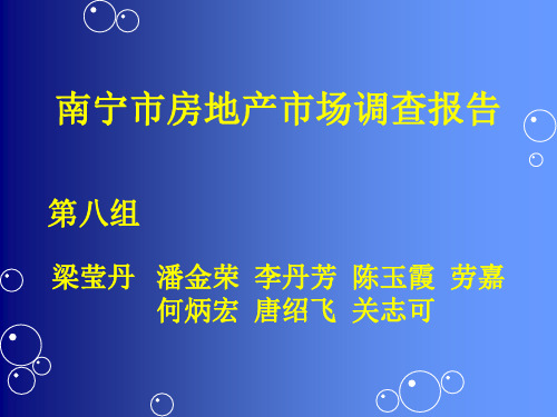 南宁市房地产市场调查报告