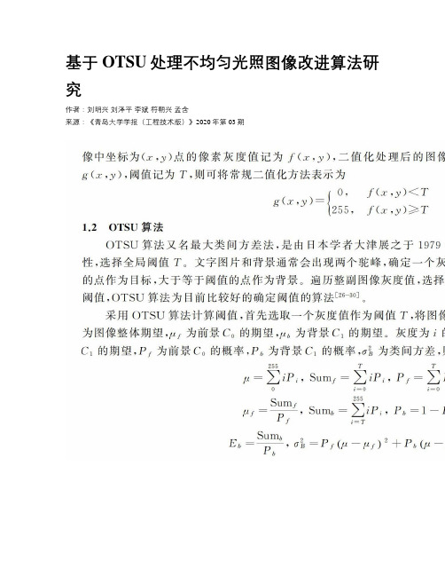 基于OTSU处理不均匀光照图像改进算法研究