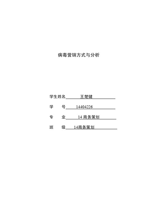 病毒营销方式与分析