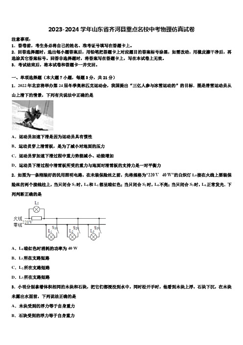 2023-2024学年山东省齐河县重点名校中考物理仿真试卷含解析