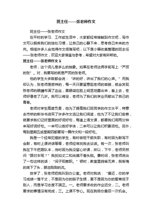 班主任——张老师作文