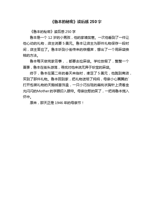 《鲁本的秘密》读后感250字