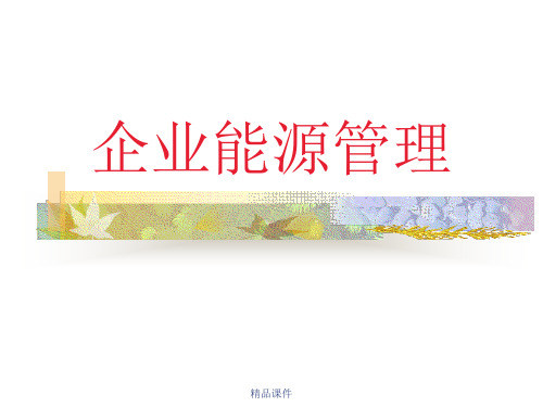 企业能源管理(精编课件).ppt