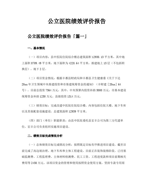 公立医院绩效评价报告