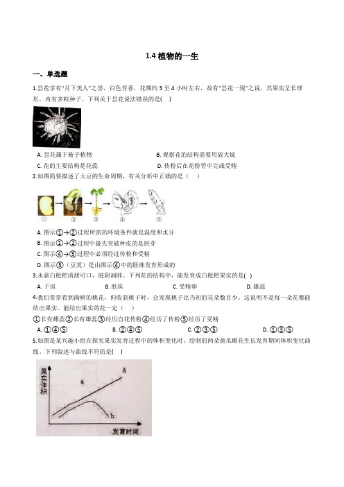 2020-2021学年浙教版科学七年级下册1.4植物的一生(含解析)  