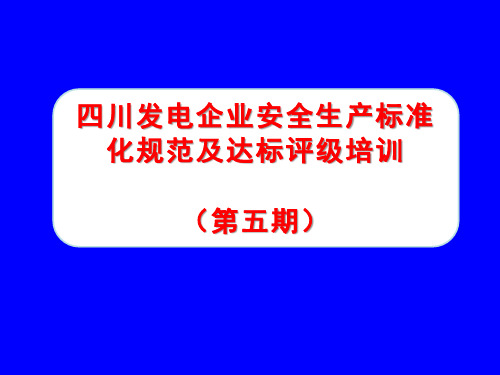 四川电力安全生产标准化工作全部