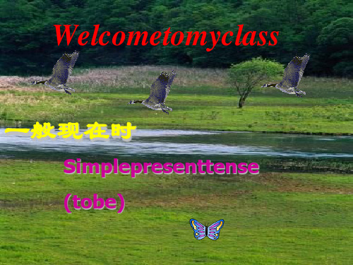 牛津译林版英语七年级上学期第一单元grammar课件