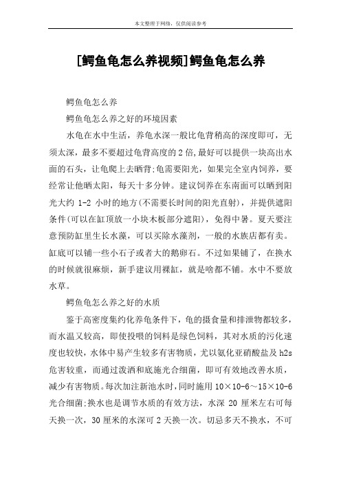 [鳄鱼龟怎么养视频]鳄鱼龟怎么养