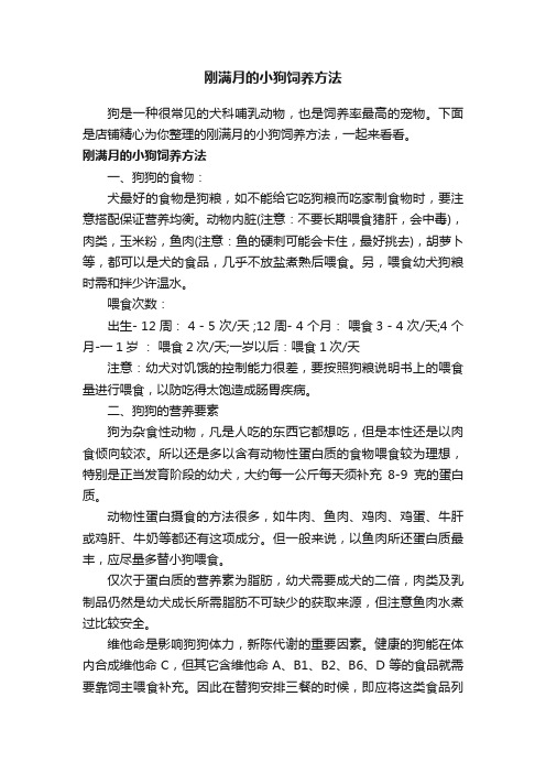 刚满月的小狗饲养方法