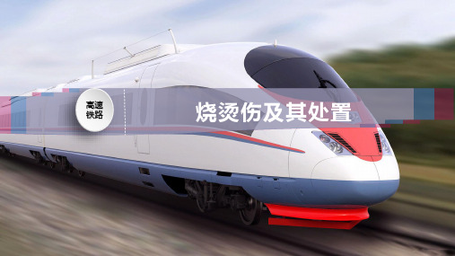 烧烫伤及其处置