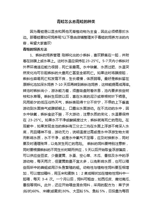 青蛙怎么养青蛙的种类