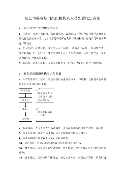 新公司筹备期间组织机构及人员配置拟定意见