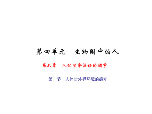 初中生物  人体生命活动的调节17(4份) 人教版精品课件