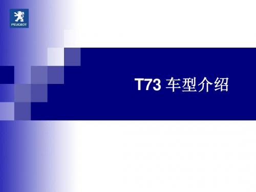 T73 车型介绍 ok (NXPowerLite)