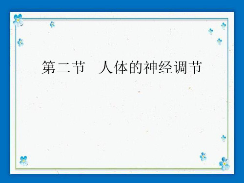 向阳区第四中学七年级生物下册 第四单元 生物圈中的人 第十二章 人体生命活动的调节 第二节 人体的神
