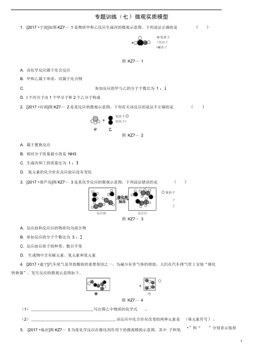 中考化学复习方案专题训练七微观实质模型