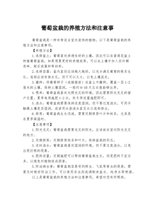 葡萄盆栽的养殖方法和注意事