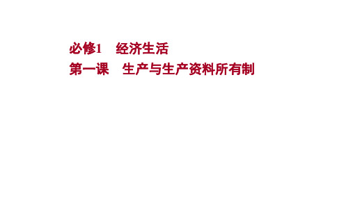 2022版政治人教版：必修1第一课生产与生产资料所有制