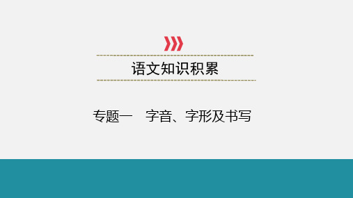 中考语文一轮基础知识复习课件：专题1字音、字形及书写