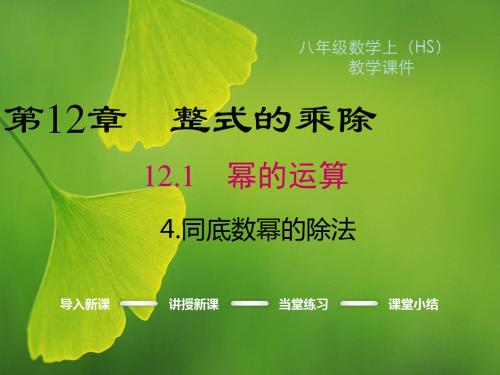 华东师大版八年级上册数学课件：12.1.4 同底数幂的除法