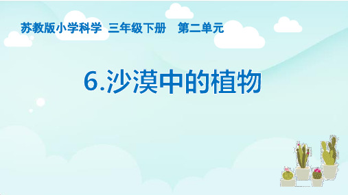 苏教版三年级下册科学第二单元《沙漠中的植物》优秀PPT课件